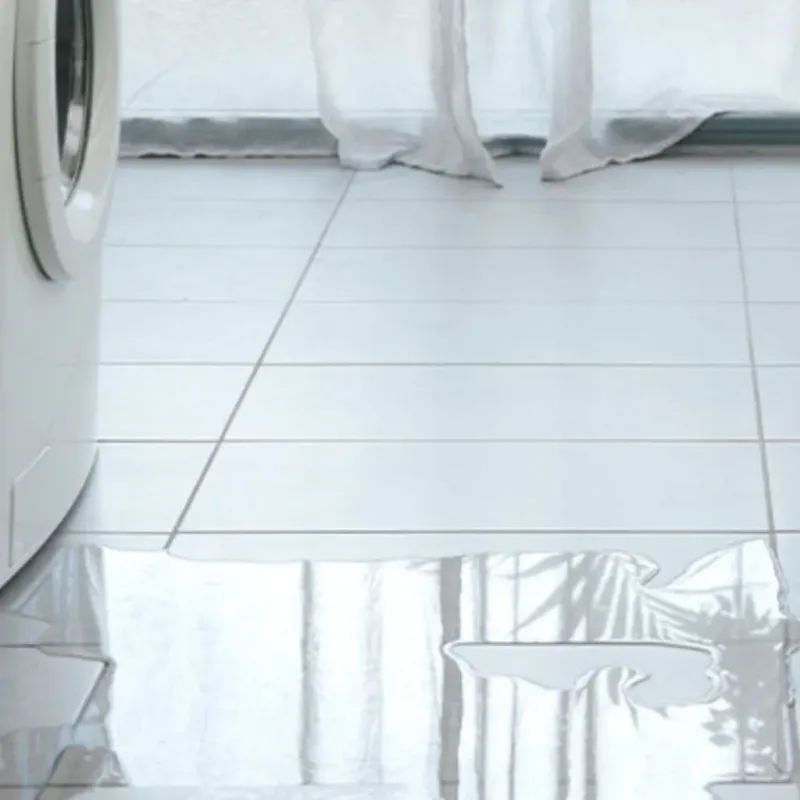 Appliance Leak Cleanup in Good Hope, AL