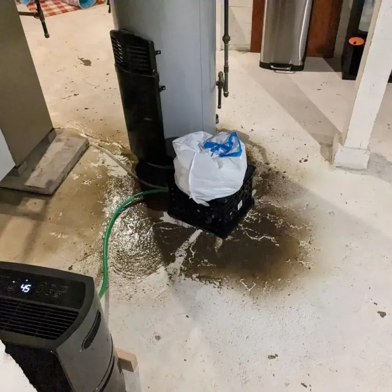Sewage Backup Cleanup Service in Good Hope, AL